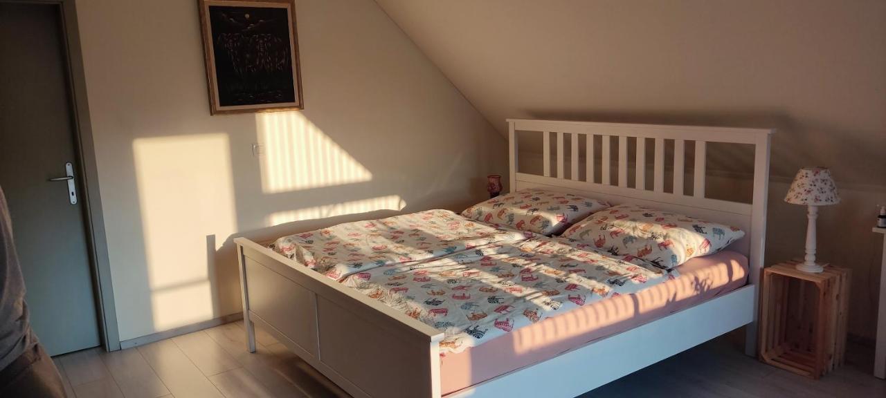 Villa Wooden House Gabra Podnart Esterno foto
